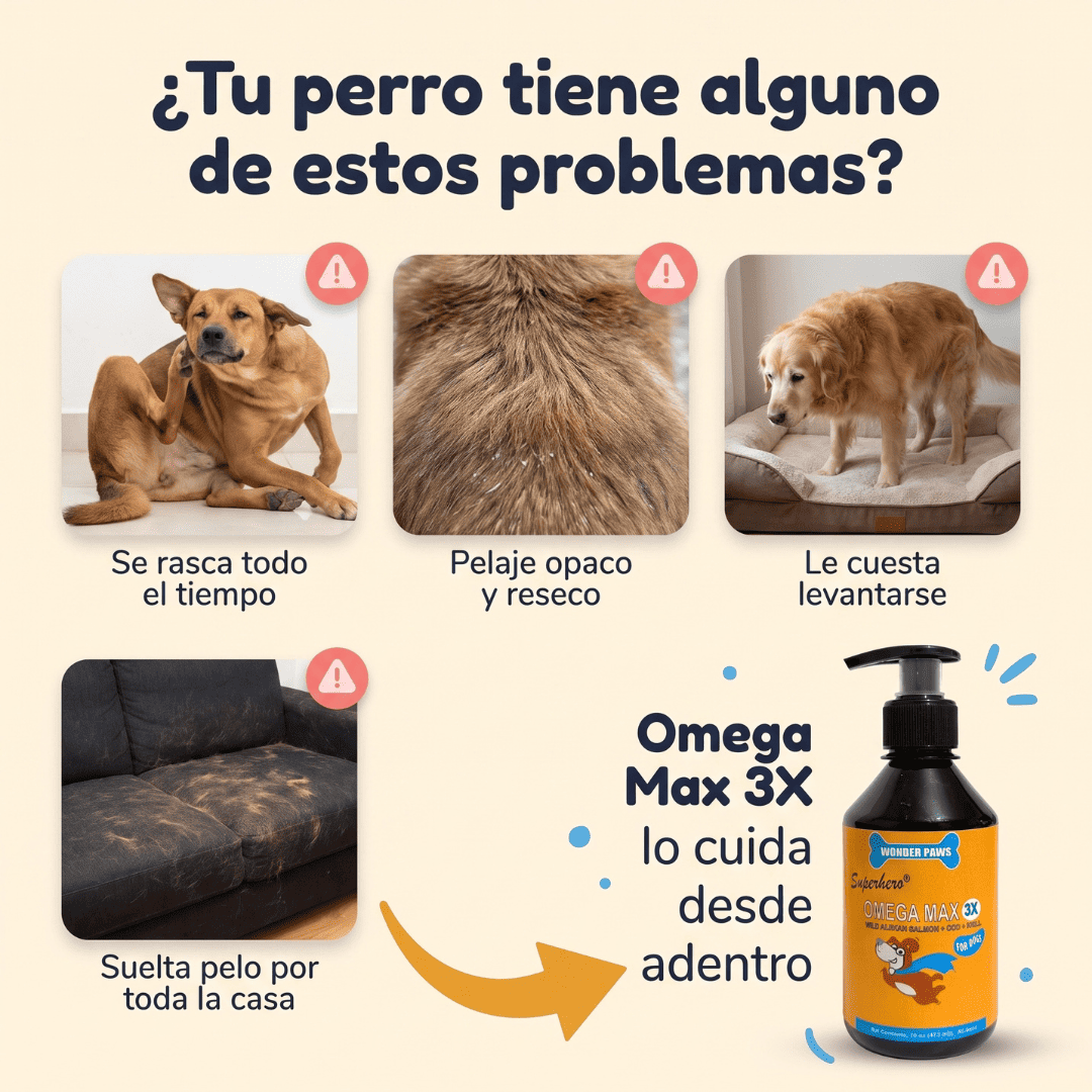 Omega 3 - Aceite de Salmon Para Perros