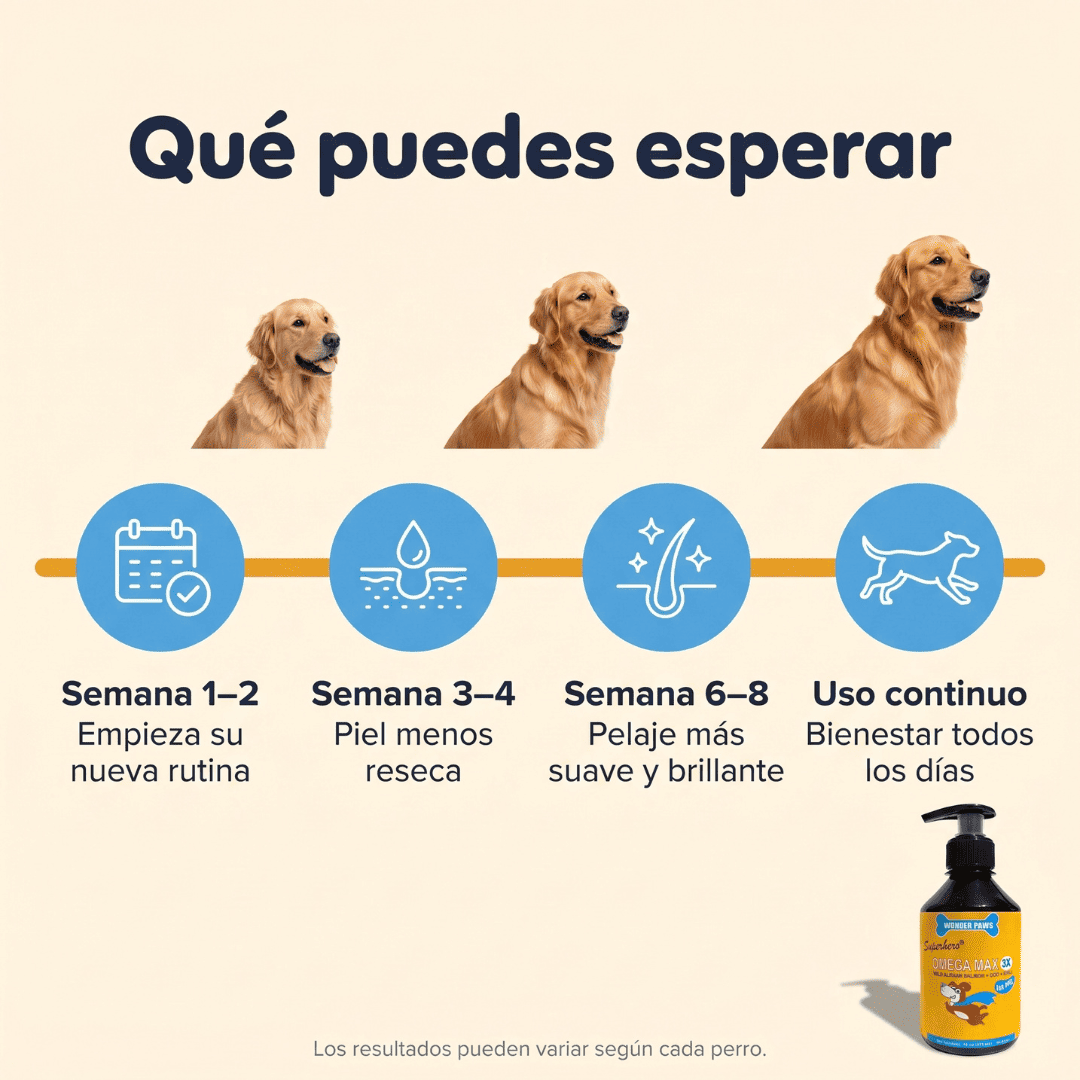 Omega 3 - Aceite de Salmon Para Perros